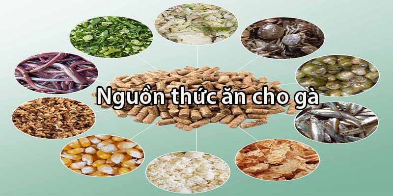 Giá bán loại gà này thường sẽ dao động phụ thuộc vào nơi cung cấp