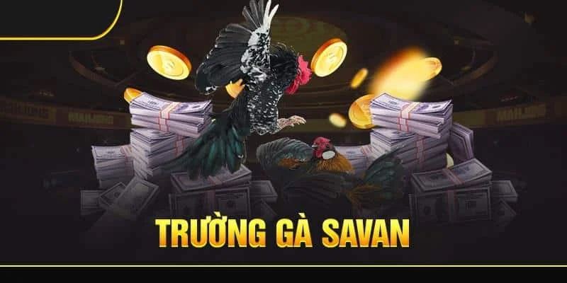 Quy tắc quan trọng tại Savan